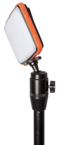 Fox Carp - HALO&trade; PHOTOGRAPHY LIGHT - Fox Carp