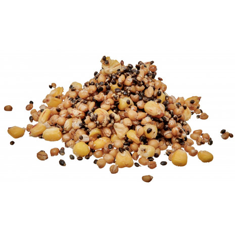 Starbaits - Partikels Ready Seeds Spod Mix - 1kg - Starbaits