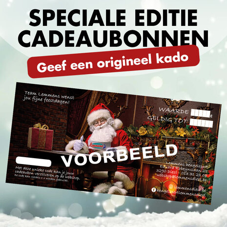 ch&egrave;que cadeau 100 euro Christmas