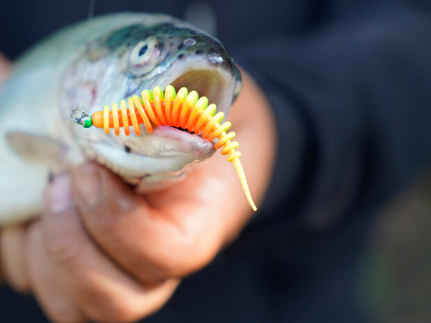 Trout Master - Master Worm 65mm - SPRO