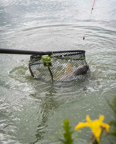 Matrix - Schepnet Carp Scoop Net - Matrix