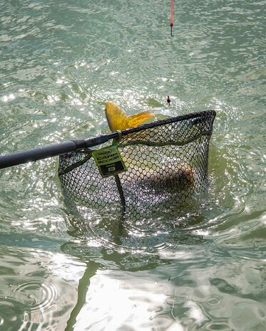 Matrix - Epuisette Carp Scoop Net - Matrix