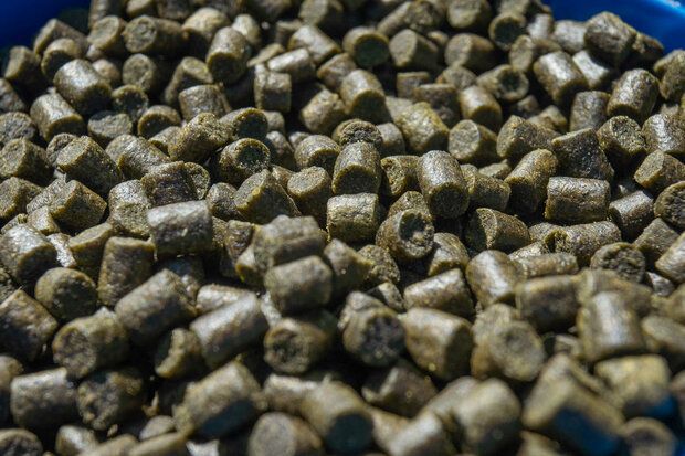 Sonubaits - Marine Green Feed Pellets 900gr - Sonubaits