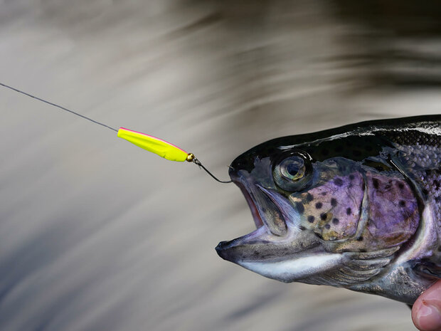 Trout Master - Incy Inline Spoon 1,5gr - SPRO