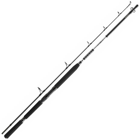 Daiwa - BG Popper 2,30m / 40-150gr - Daiwa