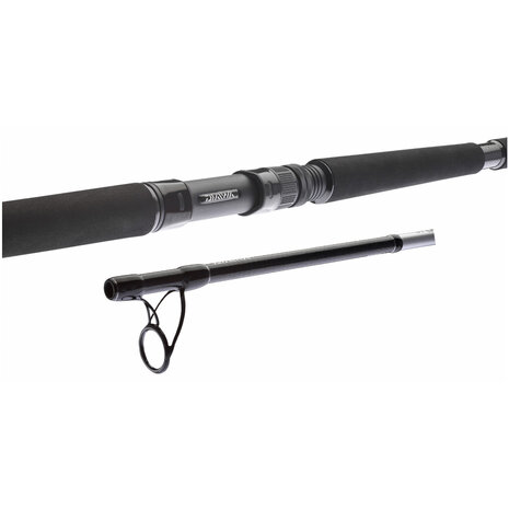 Daiwa - BG Popper 2,30m / 40-150gr - Daiwa