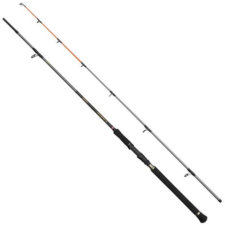 Penn - Regiment IV Spin &amp; Pilk Rod 2,40m / 100-250gr - Penn