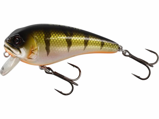 Westin - Crankbait Fatbite Floating 8cm / 24gr - Westin