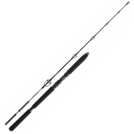 Daiwa - BG Sea Jigger Spin 1.70m / 150-400gr - Daiwa